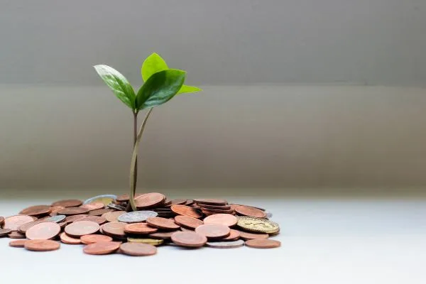 coins surrounding a sprouting plant.