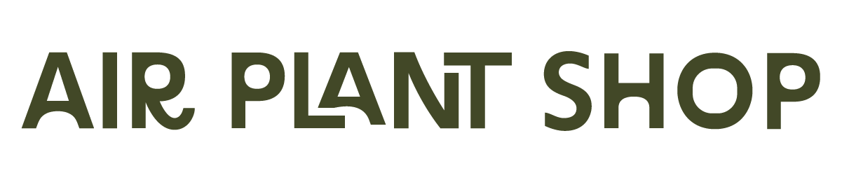 Air Plant Shop Main-27